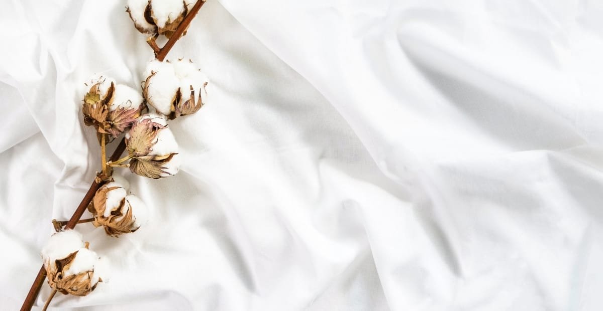 Close-up image of a white cotton fabric with a cotton stem laid across it. The fabric is soft, smooth, and slightly wrinkled.