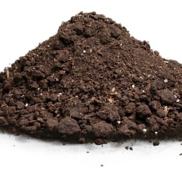 A mound of rich, dark brown soil with a crumbly texture, indicating fertile ground.