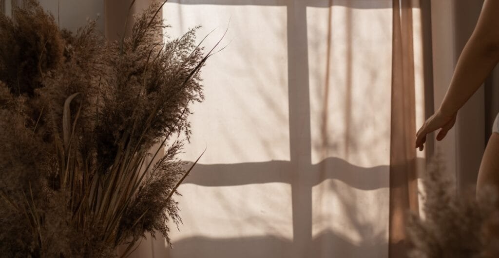 A soft, warm-toned interior scene with sheer curtains diffusing sunlight, casting shadows on the wall. On the left, there is a large bouquet of dried grasses or pampas, and on the right, a person's arm reaching out with a relaxed posture.