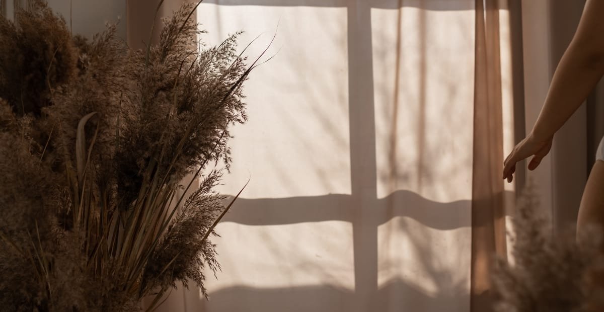 A soft, warm-toned interior scene with sheer curtains diffusing sunlight, casting shadows on the wall. On the left, there is a large bouquet of dried grasses or pampas, and on the right, a person's arm reaching out with a relaxed posture.