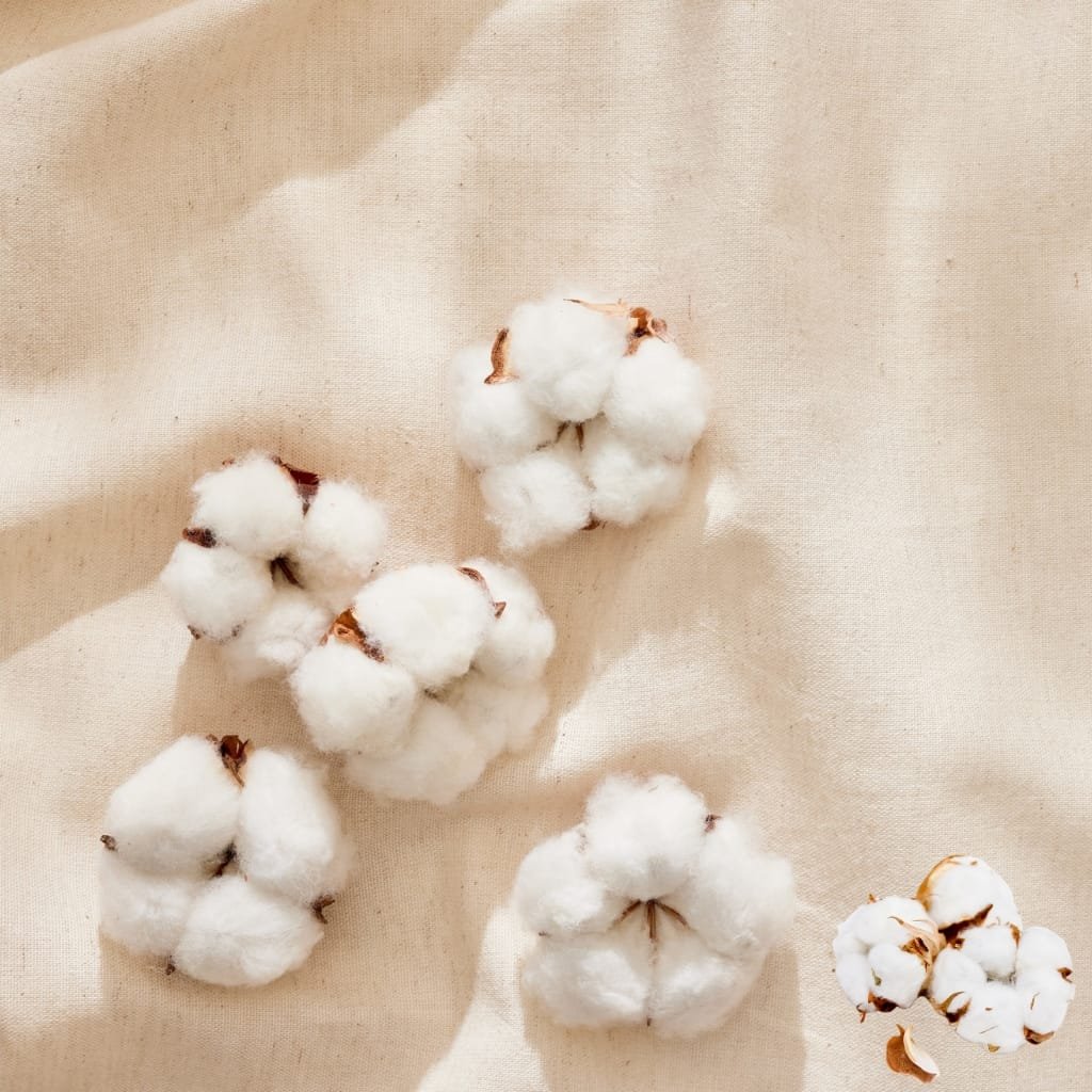 Multiple cotton bolls with white fibers and brown calyxes scattered on a beige fabric background.