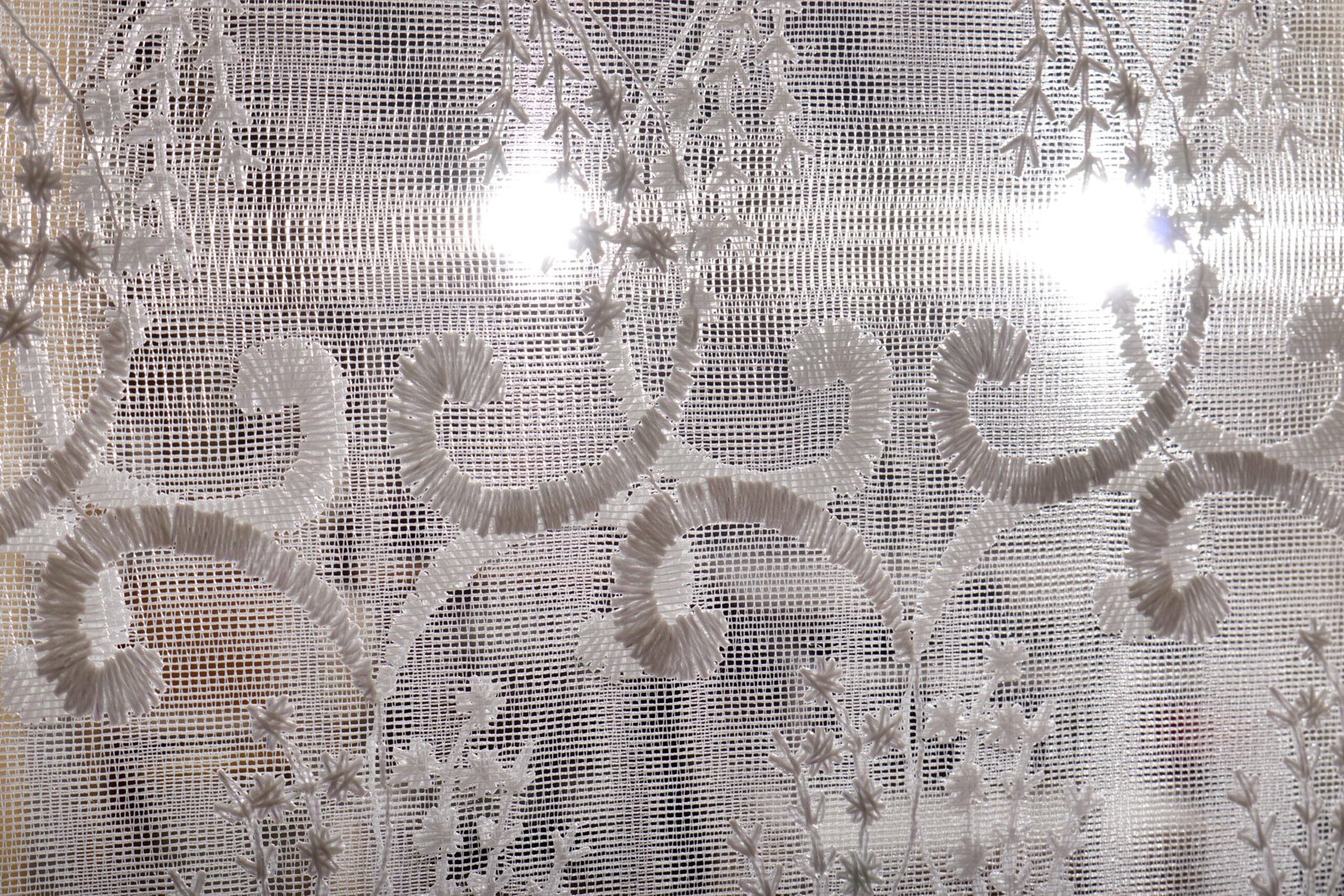 A close-up of a sheer lace curtain with intricate embroidered floral and swirling patterns, allowing light to pass through.