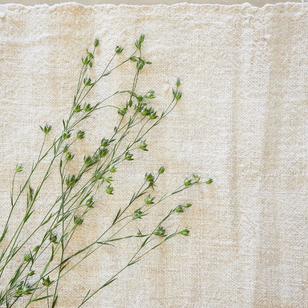 A close-up of delicate green plant stems with small bud-like flower buds against a plain beige textured background.