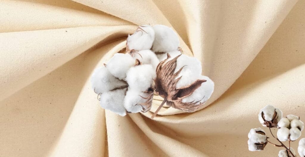 Close-up of cotton bolls resting on a cream-colored fabric background.