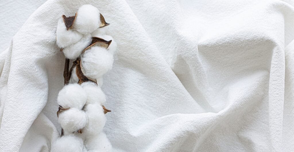Close-up of a cotton plant with white fluffy cotton bolls on a textured white fabric background.