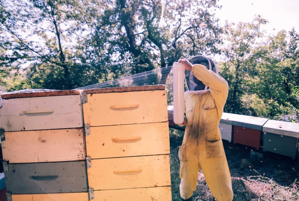 A rugged beekeeper wearing a heavy-duty beekeeping suit with reinforced stitching, full veil, and thick gloves, standing beside a hive in a sunny apiary.