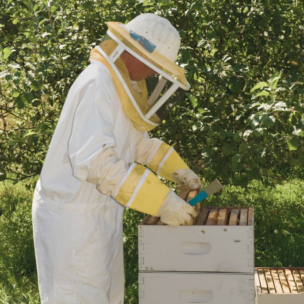 A beekeeper in protective white gear with a veil and yellow gloves works at a wooden hive in a green garden.
