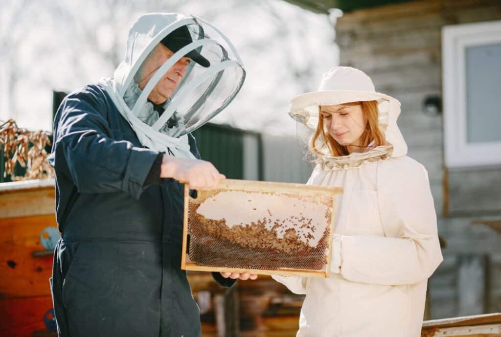 A variety of protective honey bee suits displayed on mannequins and hangers, including full-body suits, veiled hats, and gloves, emphasizing durable, breathable materials for beekeepers.