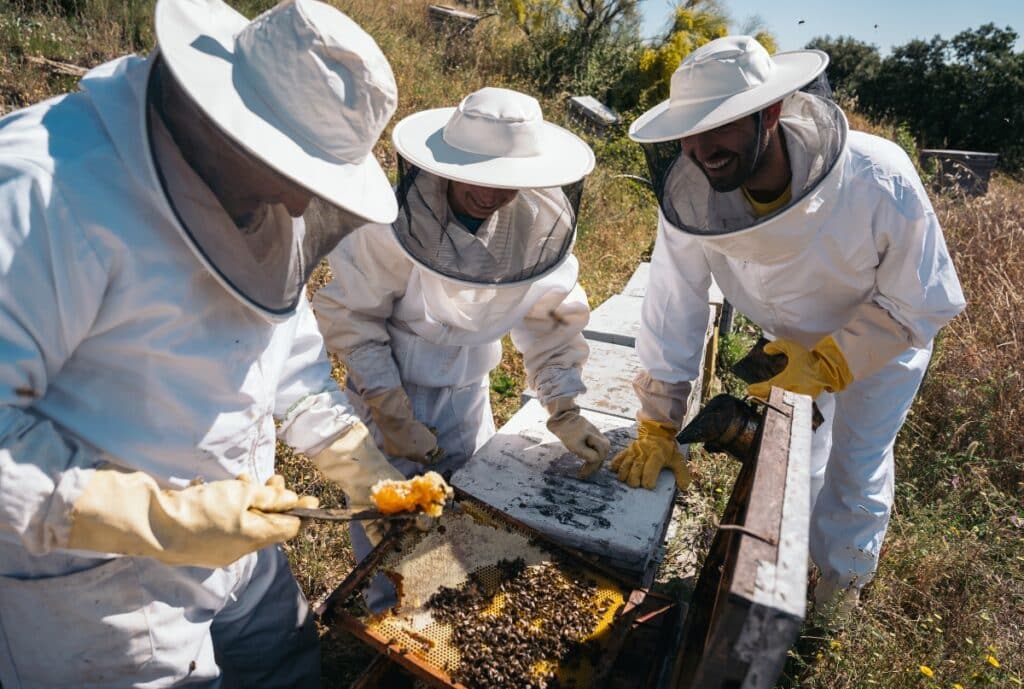 Beekeeper wearing a protective suit, veil, gloves, and boots, standing near a hive.