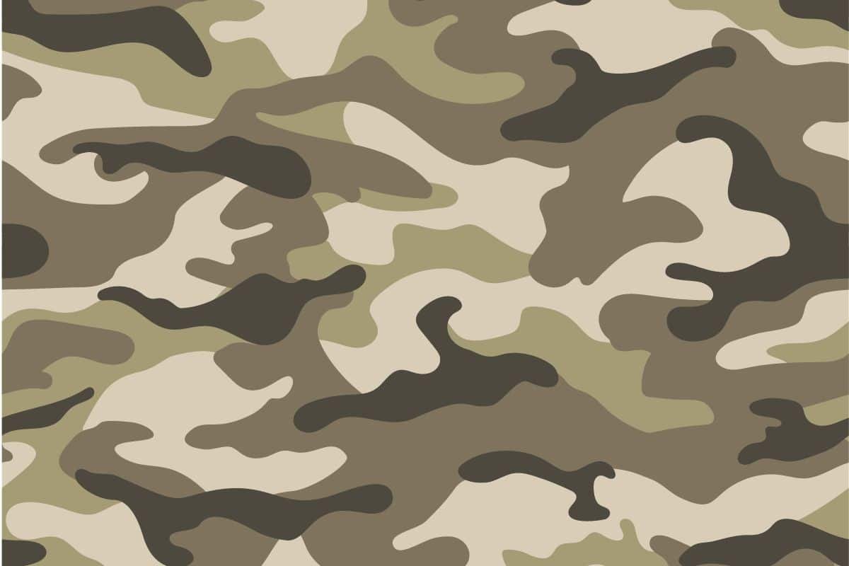 Camouflage Pattern 5