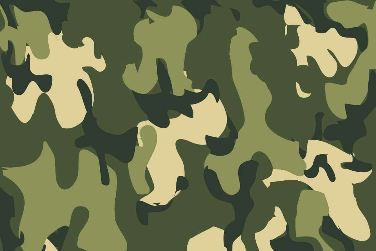 Camouflage Pattern for Army. Army soldier uniform Patterns