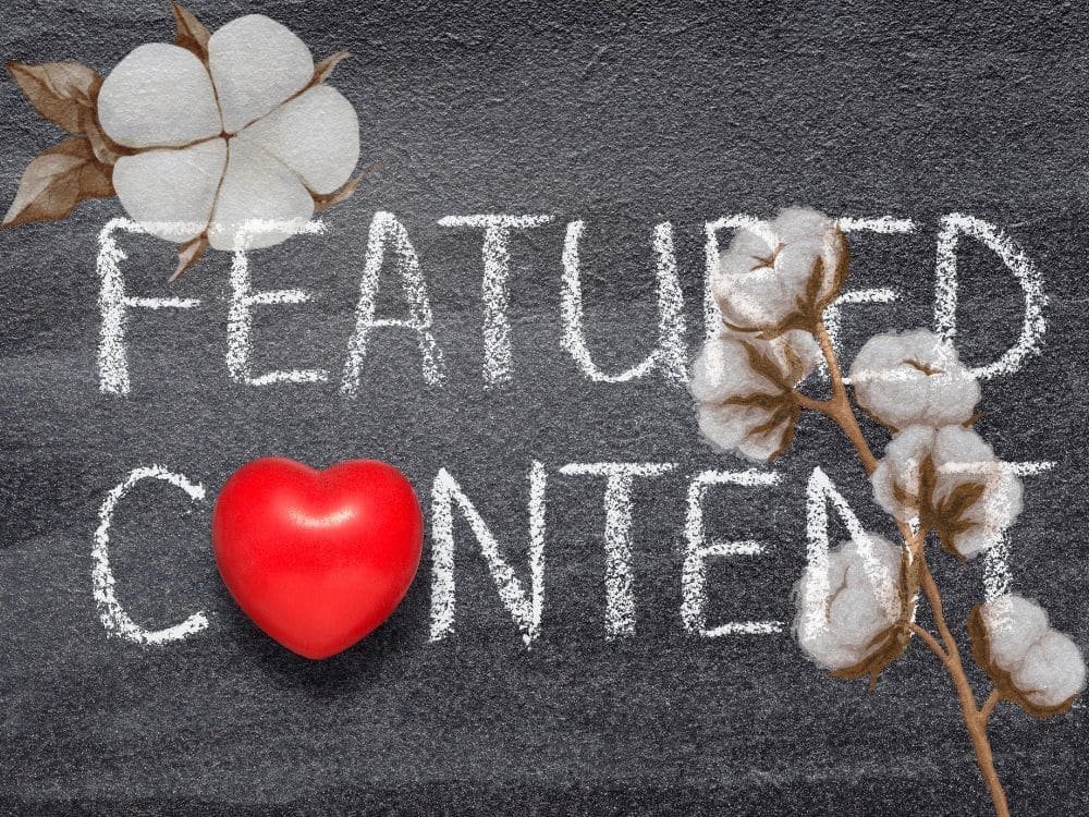 A chalkboard background displaying the words "FEATURED CONTENT" in white chalk, accompanied by a red heart and cotton bolls on the sides.