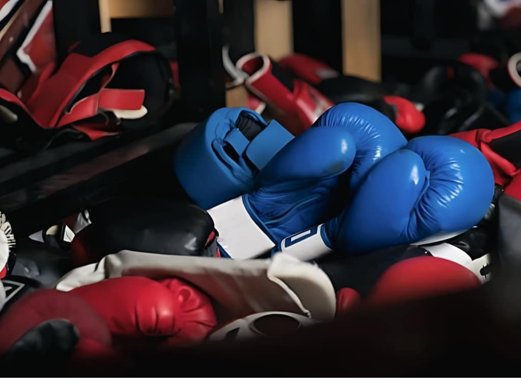A pair of blue boxing gloves resting among various red and black boxing gloves on a display shelf.